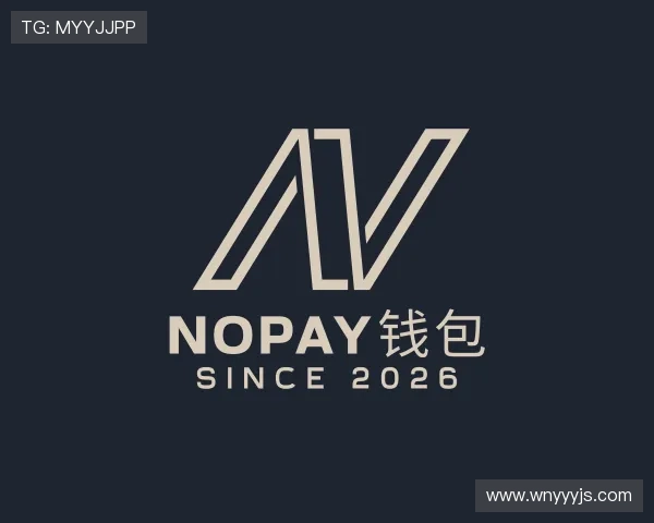 知道NOPAY钱包
